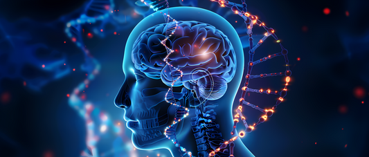 Epigenetik – warum Du mehr bist als Deine Gene