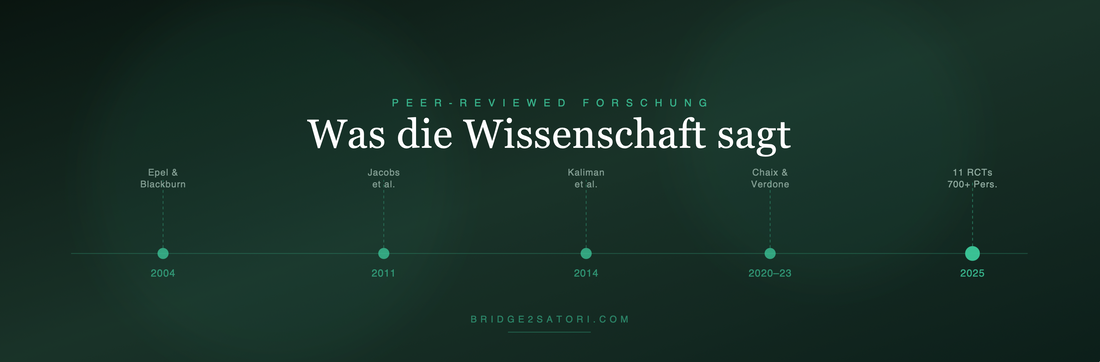 Bild mit Text "Was die Wissenschaft sagt"