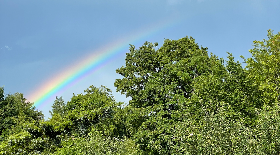 Natur und Regenbogen